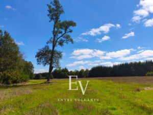 campo de 40 hectareas villarrica